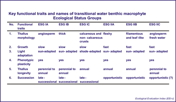 Key functional traits and names of coastal water benthic macropthyte Ecological Status Groups